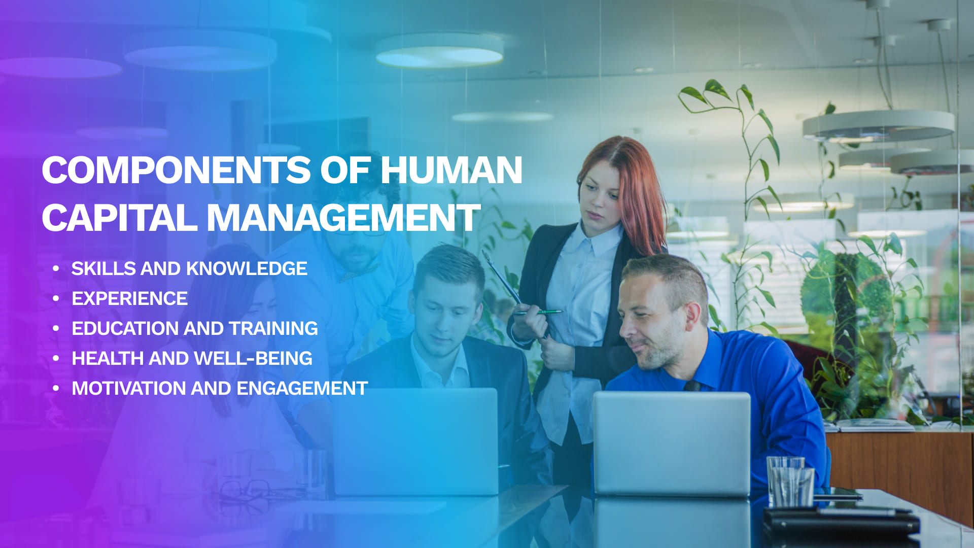 Components of Human Capital Management