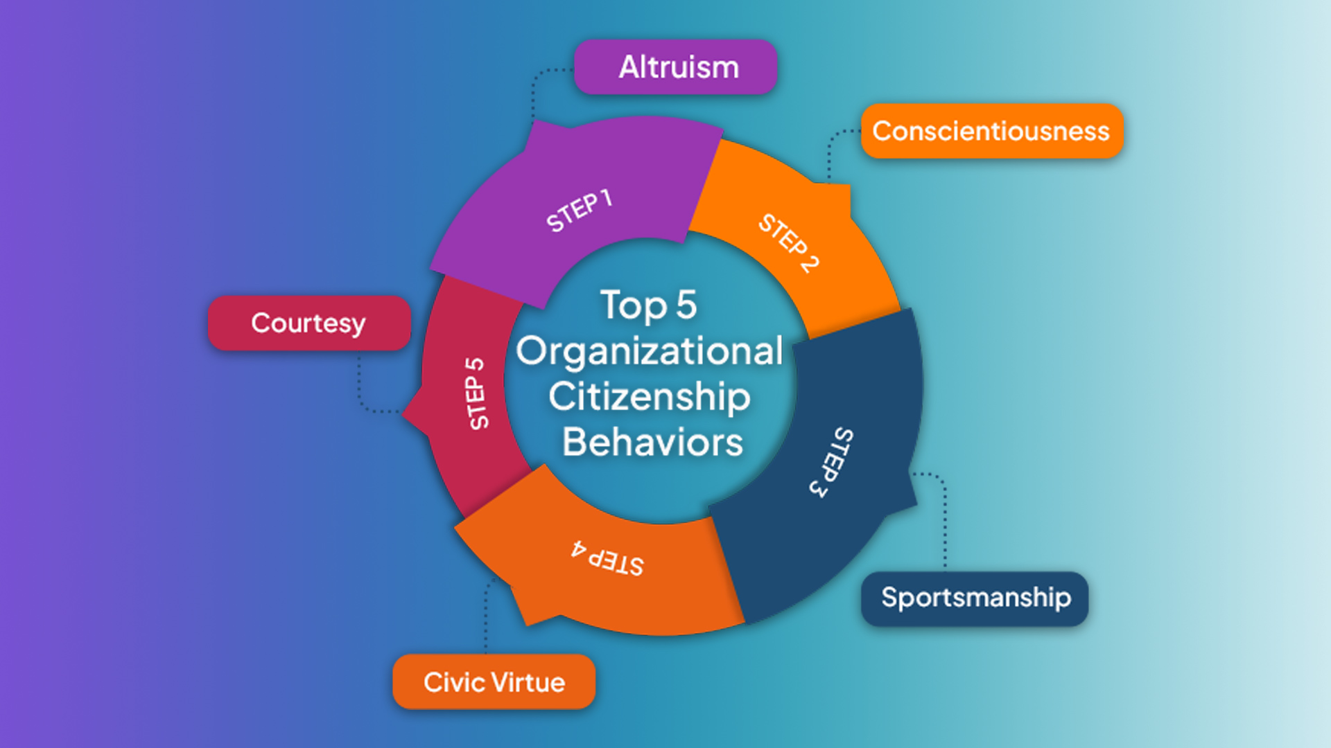 what is organizational citizenship behavior