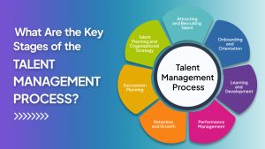 Read more about the article What Are the Key Stages of the Talent Management Process?